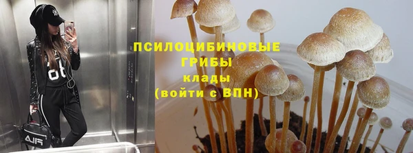 трава Нягань