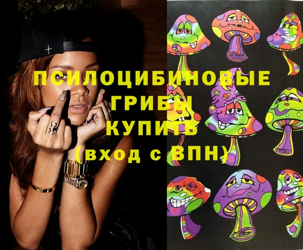 ешки Няндома