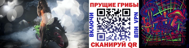 ОМГ ОМГ ссылка  Баксан  Псилоцибиновые грибы ЛСД 