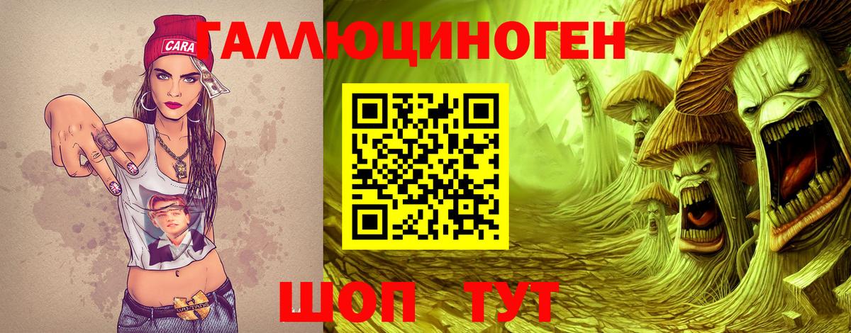 Галлюциногенные грибы Psilocybine cubensis Баксан