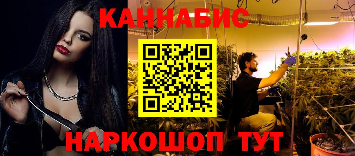Шишки марихуана OG Kush Баксан